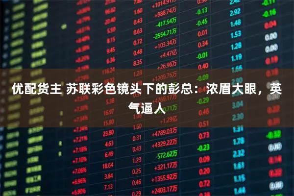 优配货主 苏联彩色镜头下的彭总：浓眉大眼，英气逼人