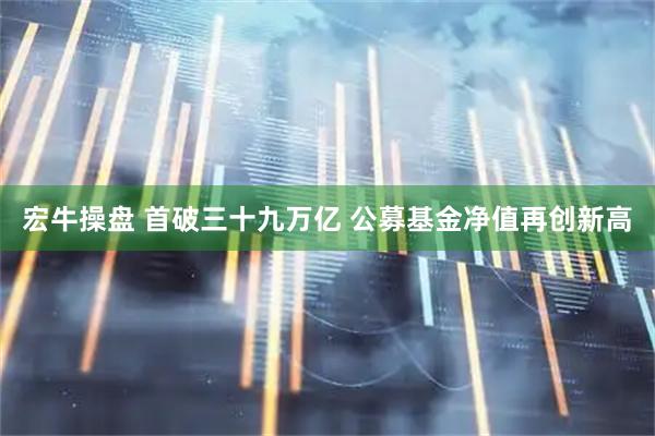 宏牛操盘 首破三十九万亿 公募基金净值再创新高
