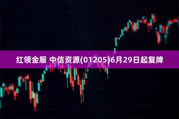 红领金服 中信资源(01205)6月29日起复牌